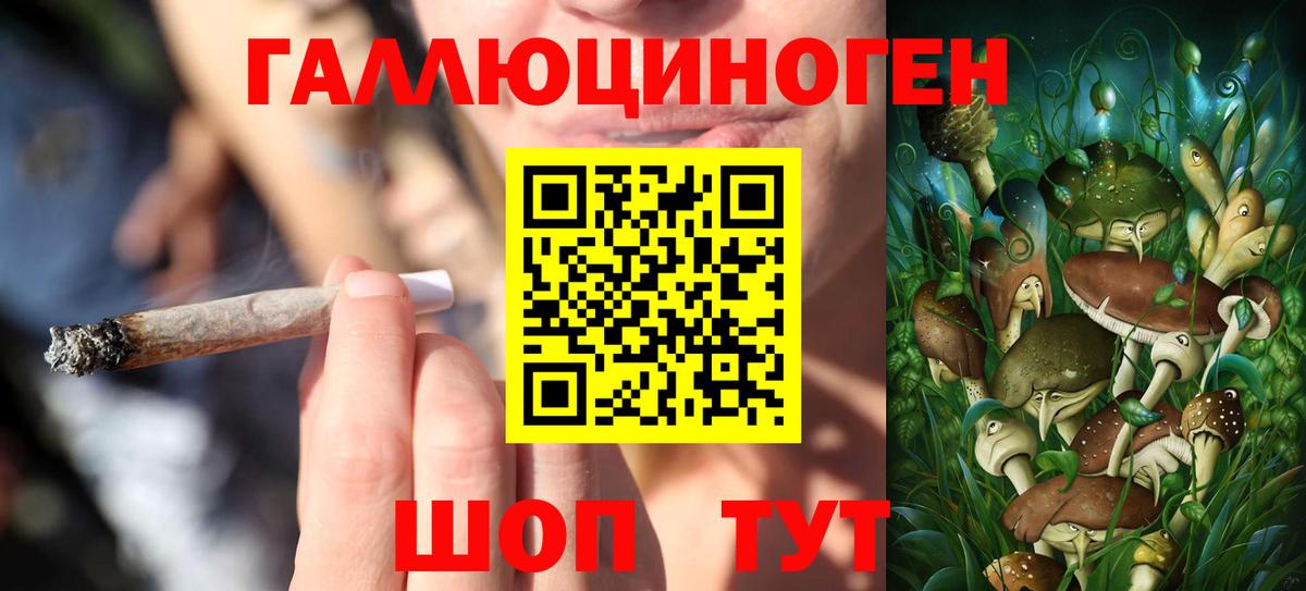 Псилоцибиновые грибы мицелий  Галлюциногенные грибы Cubensis  Щёлково  Вход с VPN 