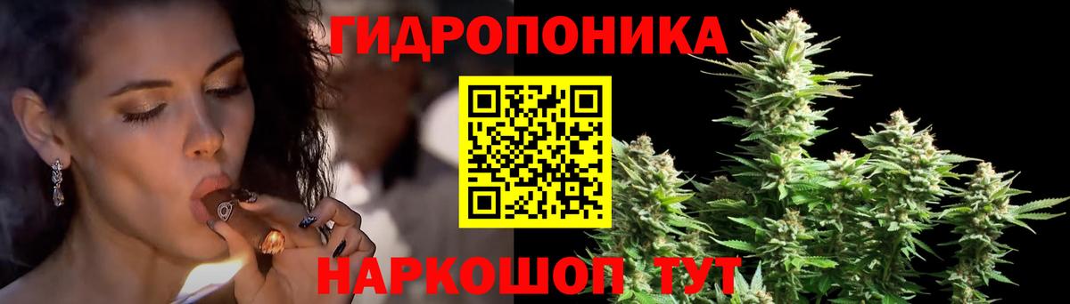 Бошки марихуана White Widow Щёлково